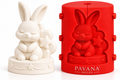Pavana dreamy bunny with star 3D silicone mold