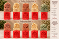 Colección Today Affirmations Candle Mold – Spanish